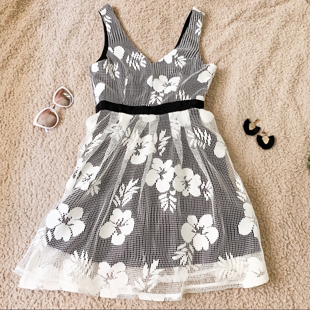 NWT Francesca’s dress